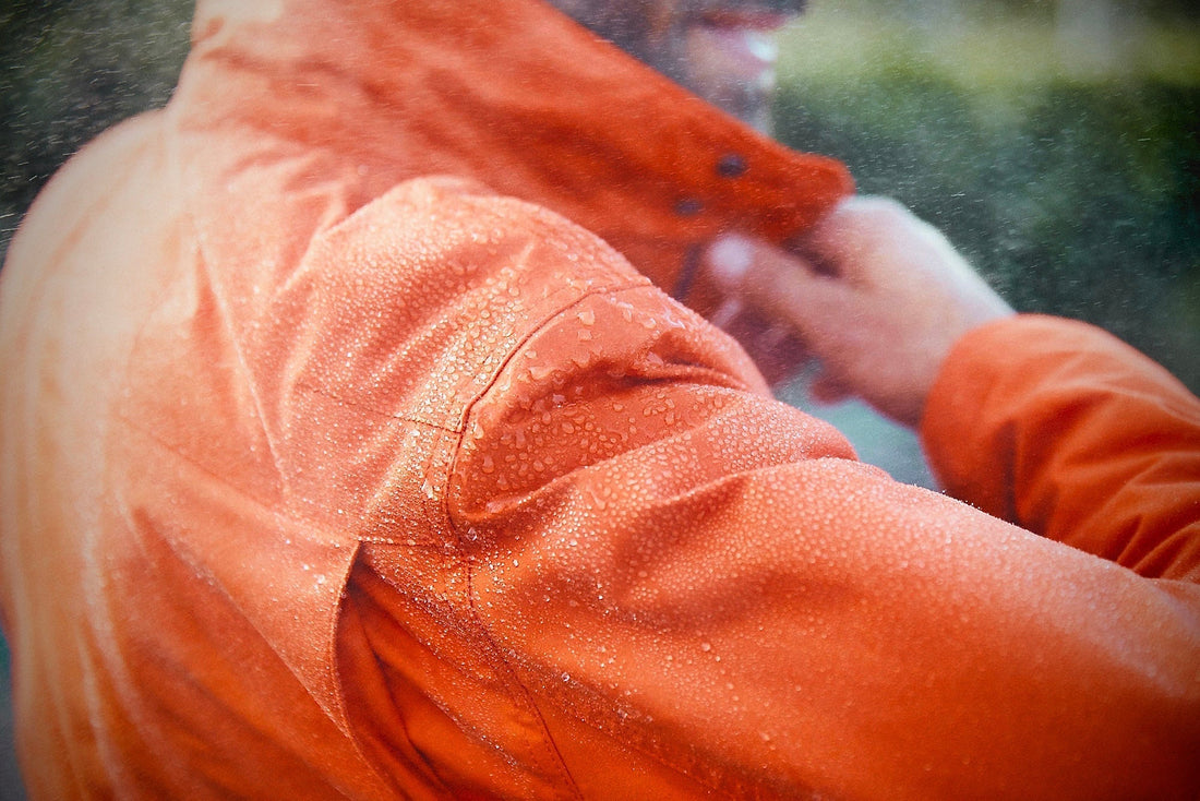 WHAT IS VENTILE? A UNIQUE STORY